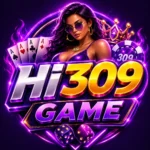 HI309 Game