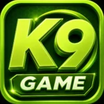 K9 Game
